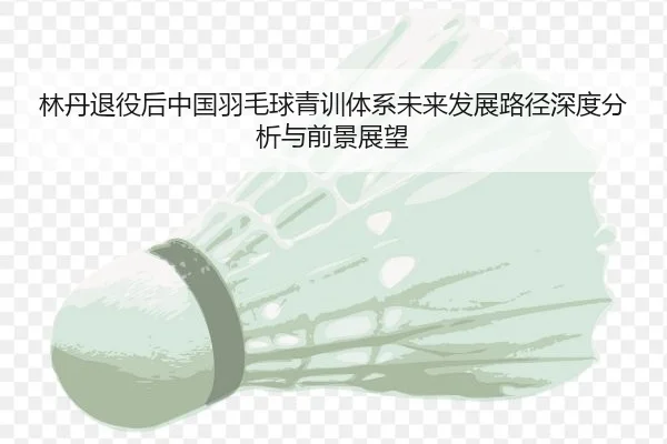 林丹退役后中国羽毛球青训体系未来发展路径深度分析与前景展望